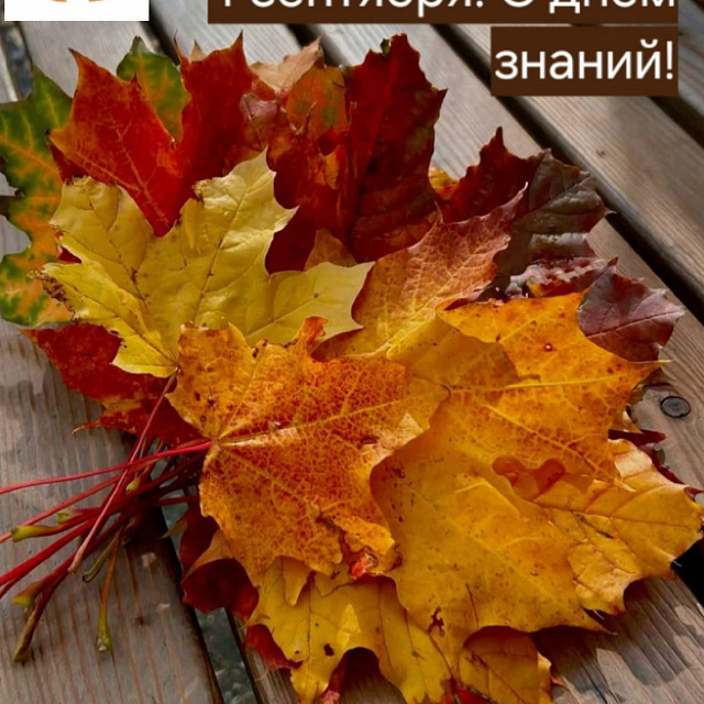С Днём знаний!